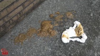 盗撮 下剤混入 緊急下痢便女子