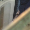 隠撮 女子校内男性職員トイレで立ちション(2)