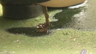 過激隠撮ＳＰ 街中の放尿・脱糞女子校生