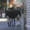 必撮スカートめくり 28 女子校生限定バージョン