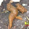 HD野外排泄盗撮FILE01