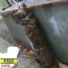 HD野外排泄盗撮FILE02