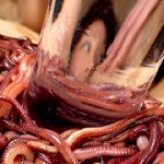 湯蟲に屍液と泥獣に纏い雌襞