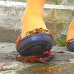 ウォークングシューズや短靴でザリガニを踏み砕く！