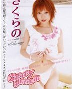 Cherry blossom さくらの
