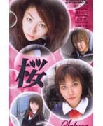 桜 市川ひとみ 浅川千晶 紅葉雫 松嶋千秋