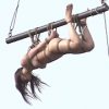 空中拷問アクメ刑務所