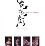 縄遊戯