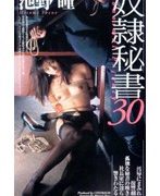 奴隷秘書 30 池野瞳