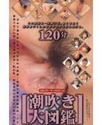 潮吹き大図鑑 2