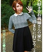 大好きなお義姉さんの家に泊まりに行こう(2)〜出来れば近●相姦